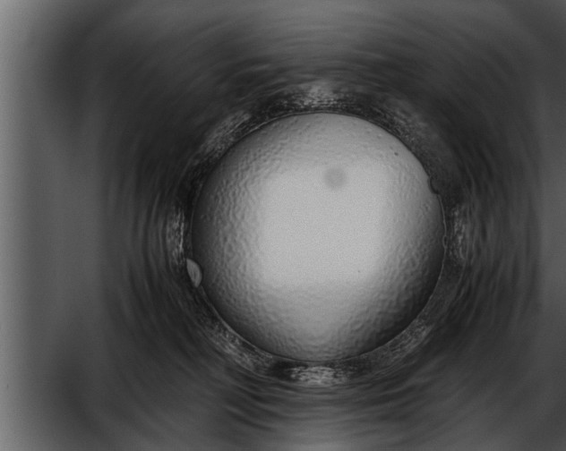 X0000052580230200507152327