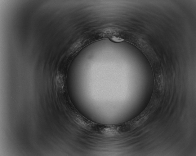 X0000052580232200507152327