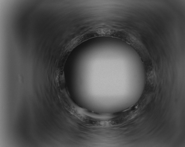 X0000052580233200507152327