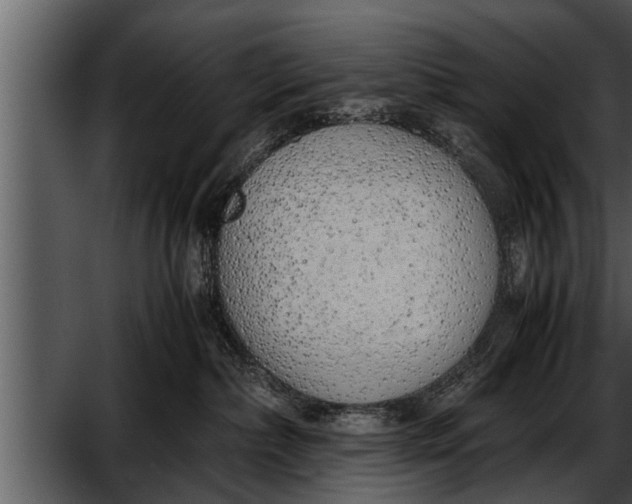 X0000052580236200507152327