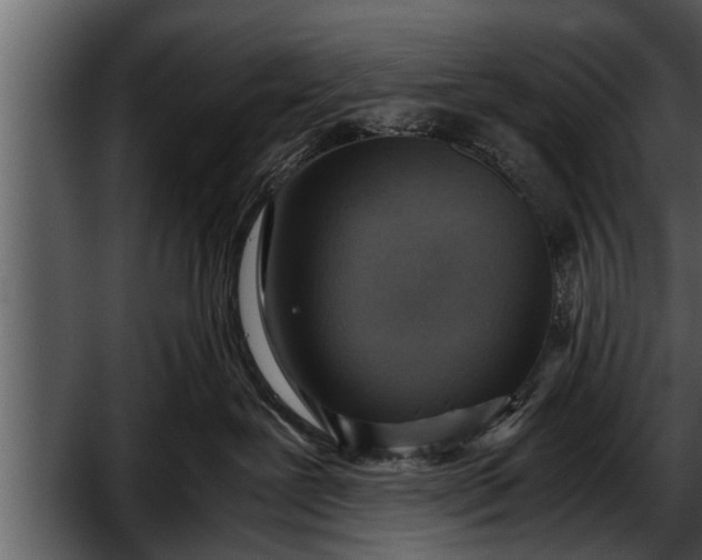 X0000052580239200507152326