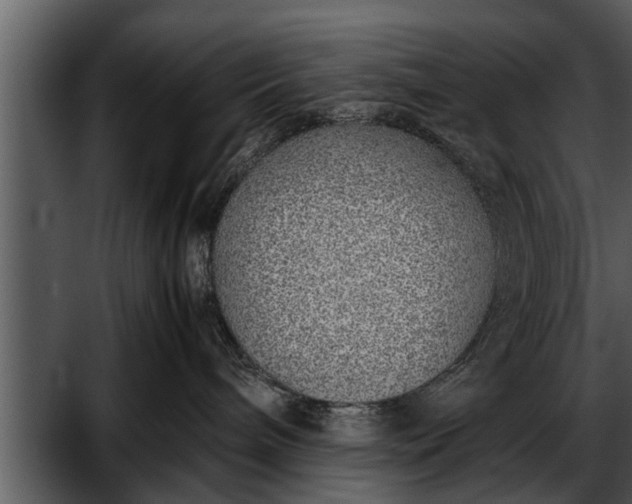 X0000052580240200507152326