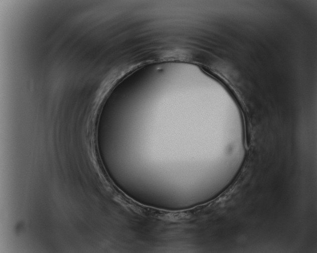 X0000052580241200507152326