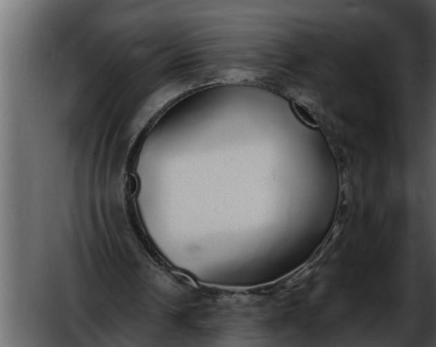 X0000052580242200507152326