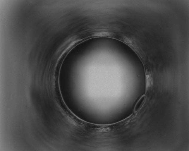 X0000052580243200507152326