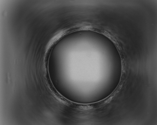 X0000052580245200507152326