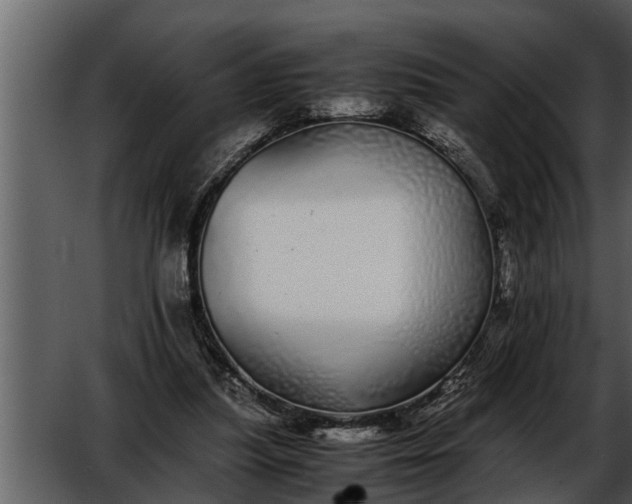 X0000052580251200507152326