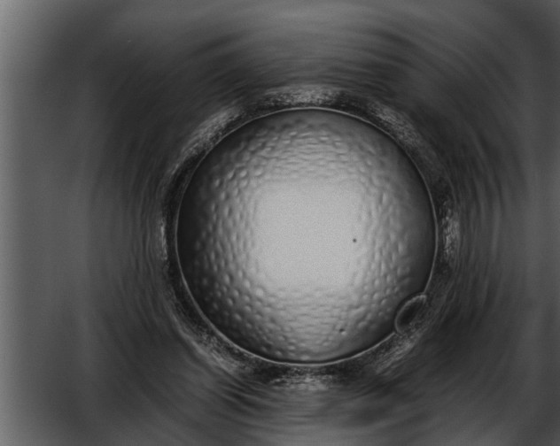 X0000052580254200507152326