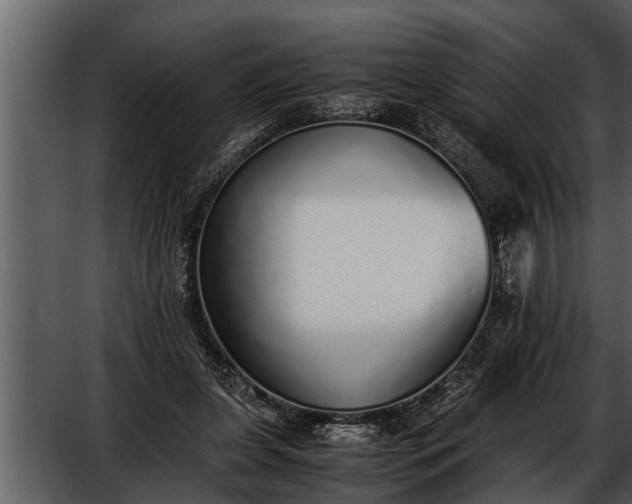 X0000052580255200507152326