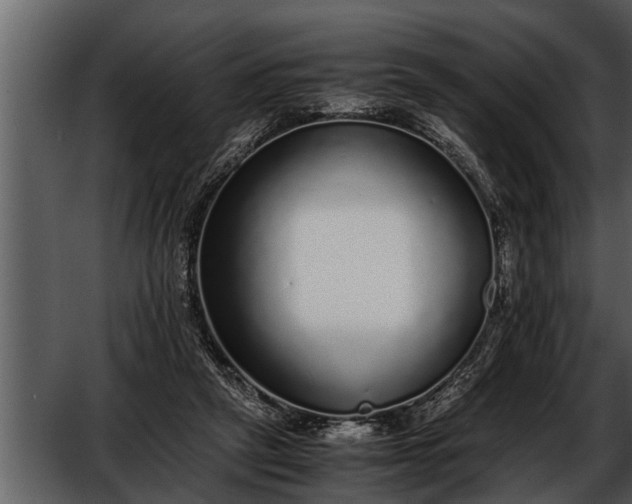 X0000052580257200507152326