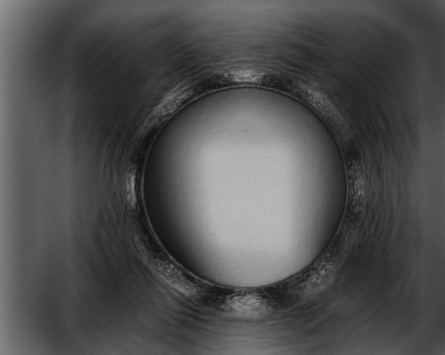 X0000052580262200507152326