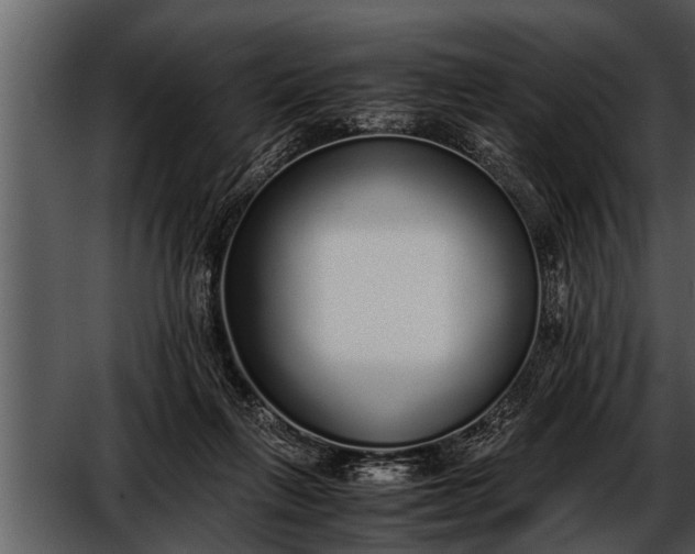X0000052580263200507152326