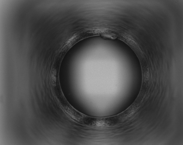 X0000052580264200507152326