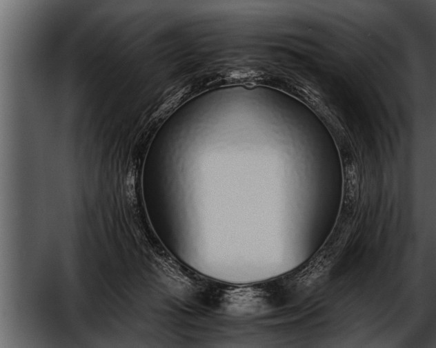 X0000052580269200507152326