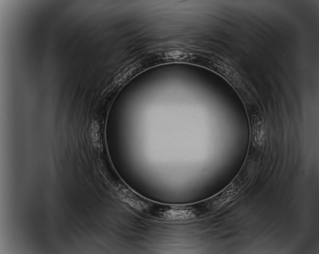 X0000052580270200507152326