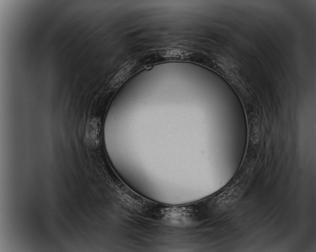X0000052580273200507152326