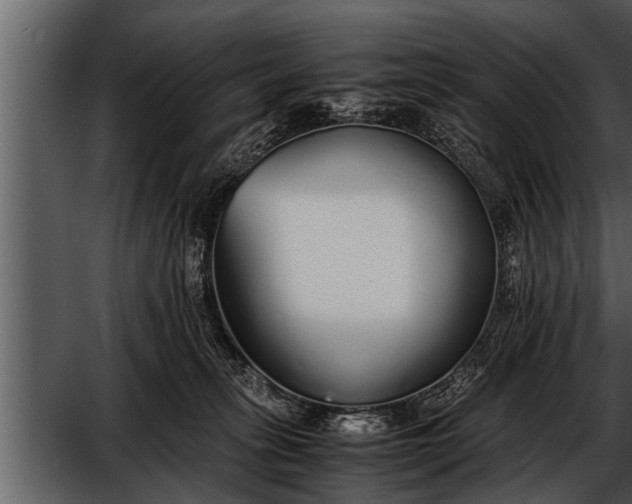 X0000052580275200507152326