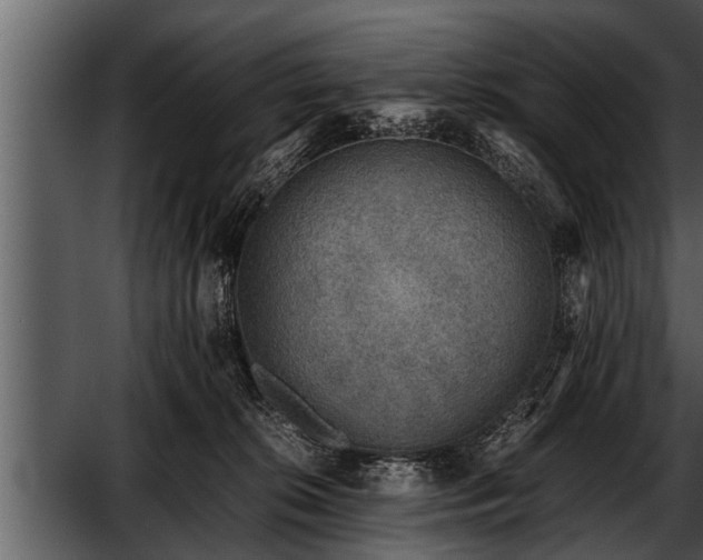X0000052580276200507152326