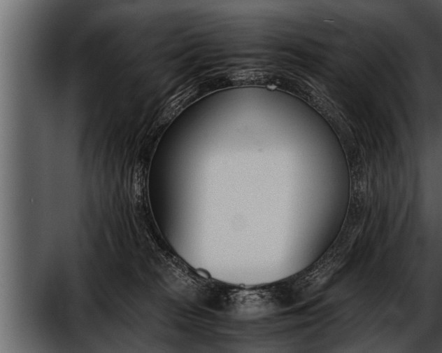 X0000052580277200507152326