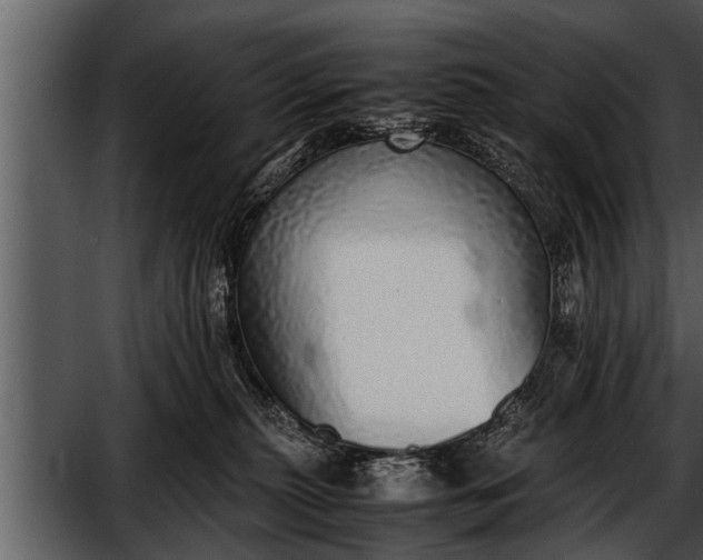 X0000052580279200507152326