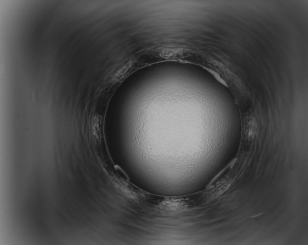 X0000052580280200507152326