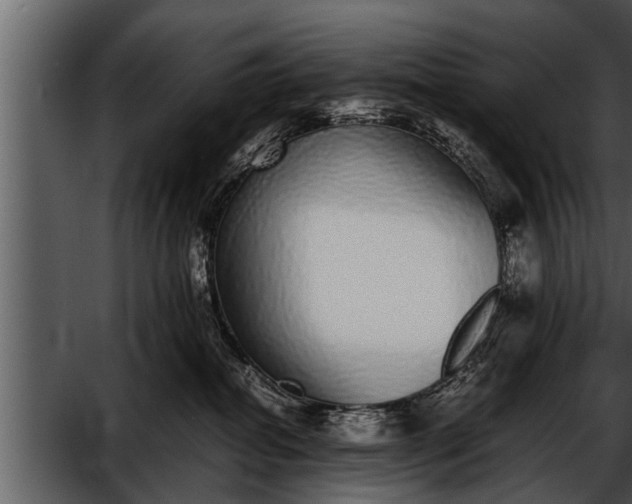 X0000052580282200507152326