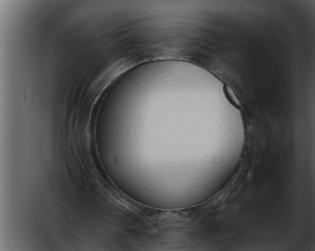 X0000052580290200507152326
