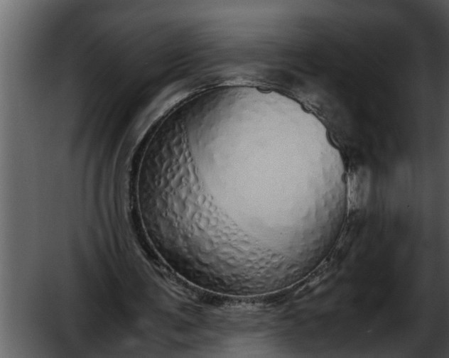 X0000052580291200507152326
