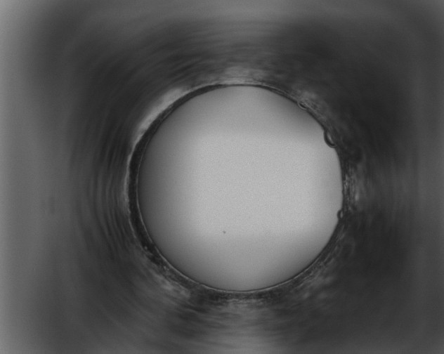 X0000052580292200507152326