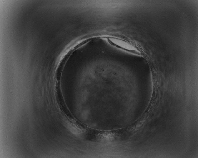 X0000052580295200507152326