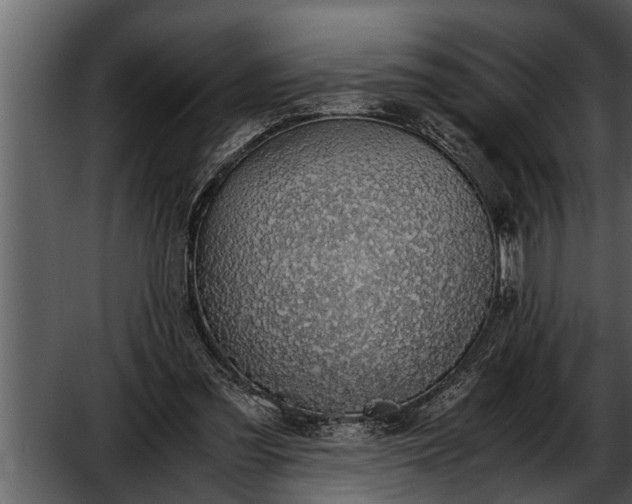 X0000052580301200507152325