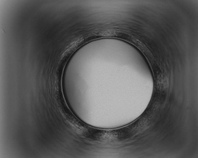 X0000052580303200507152325