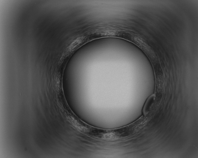 X0000052580309200507152325