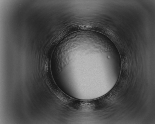 X0000052580315200507152325