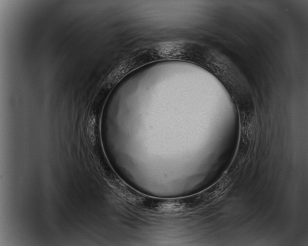 X0000052580319200507152325