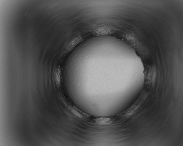 X0000052580334200507152325