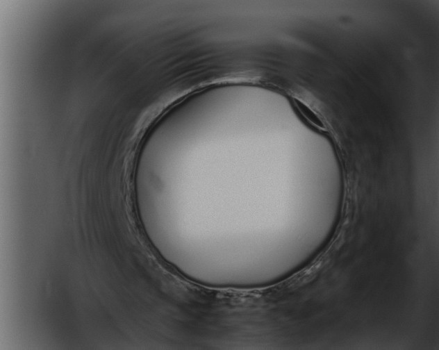 X0000052580337200507152324