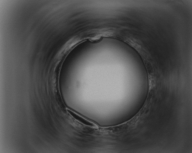 X0000052580339200507152324