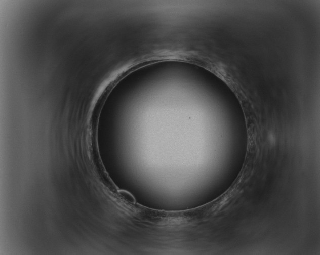 X0000052580342200507152324