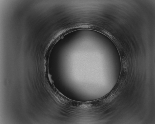 X0000052580350200507152324