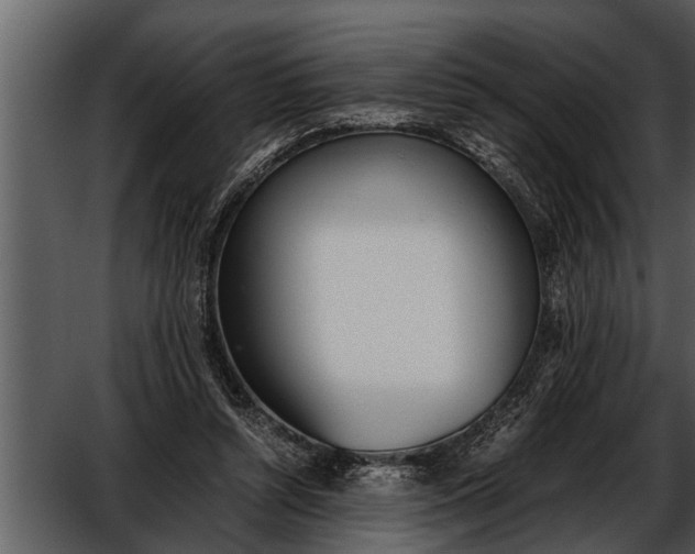 X0000052580352200507152324