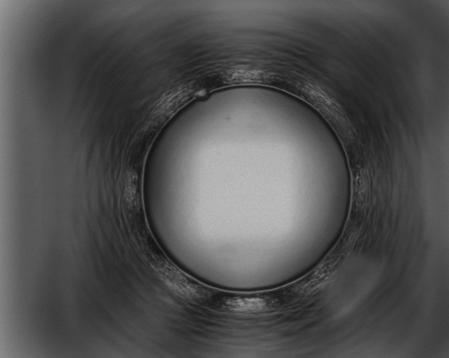 X0000052580361200507152324