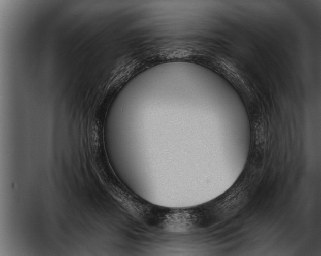 X0000052580362200507152324