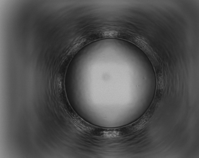 X0000052580363200507152324