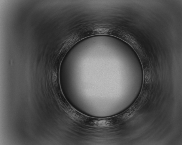 X0000052580365200507152324