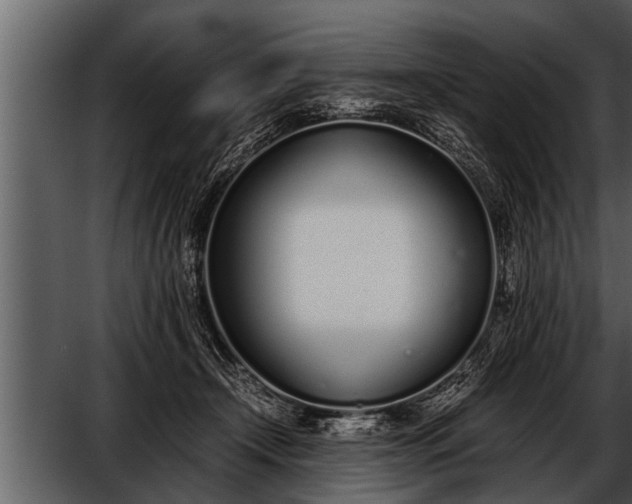 X0000052580366200507152324