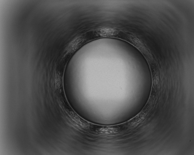 X0000052580367200507152324