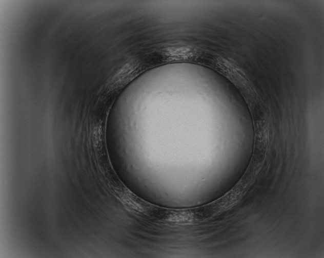 X0000052580369200507152325