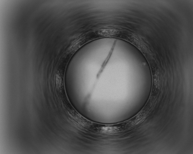 X0000052580371200507152325