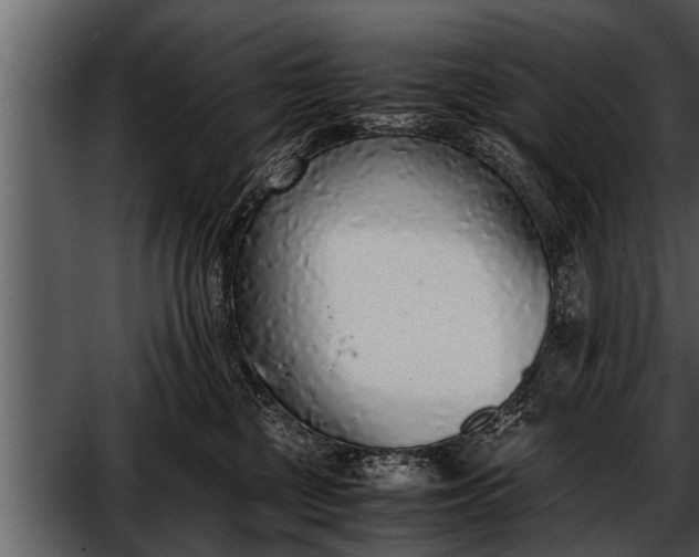 X0000052580377200507152325